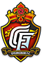 성남FC